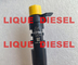 DELPHI injector EMBR00101D EMBR00101DP R00101D R00101DP para Citroen Peugeot 1980L3 FIAT 9686191080 fornecedor