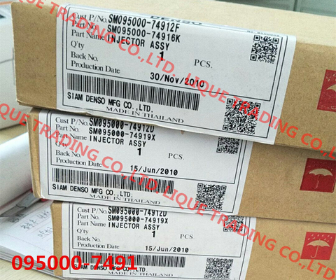 CHINA Injetor comum do trilho de DENSO 095000-7491/095000-7490 fornecedor