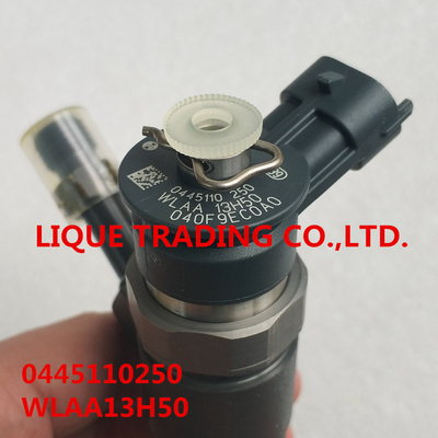 CHINA INJETOR 0445110250 de BOSCH, 0 445 110 250, WLAA-13H50, WLAA13H50, WLAA 13H50 fornecedor