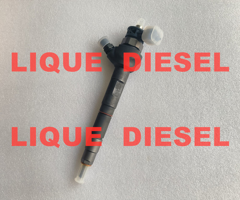 CHINA BOSCH INJETOR DE FUEL 0445110738 0 445 110 738 1042210FE010 1042200FE010 fornecedor