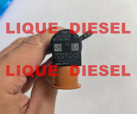CHINA Injetor Common Rail DELPHI 28236381 33800-4A700 338004A700 para HYUNDAI Starex 33800 4A700 fornecedor
