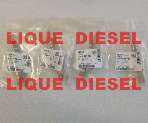 CHINA BOSCH válvula de injecção de trilho comum F01G201011 F00VC01329 para 0445110168 0445110284 0445110315 fornecedor