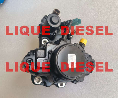 CHINA DELPHI Fuel Pump 28526584 9422A030A A6710700101 A671 070 01 01 6710700101 for SSANGYONG D20DTF fornecedor