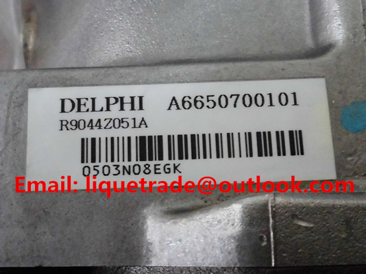 DELPHI bomba comum genuína e nova R9044Z051A/R9044Z162A de 100% do trilho para SSANGYONG A6650700401, A6650700101 fornecedor