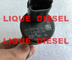 Regulador de pressão da bomba de combustível de BOSCH, DRV 0281002500 para FIAT 9949317, IVECO 504016314, 42538165, RENAULT 5001857386 fornecedor