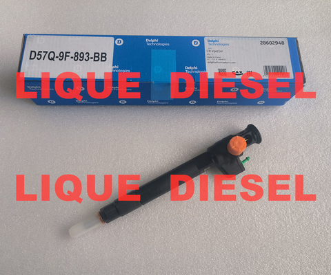 INJETOR DELPHI Comum Rail 28602948 9674984080 28388960 D57Q-9F-893-BB D57Q9F893BB fornecedor