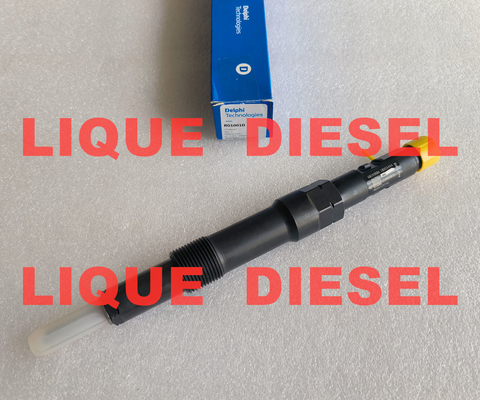 DELPHI Injetor de combustível R00401Z R01001D fornecedor