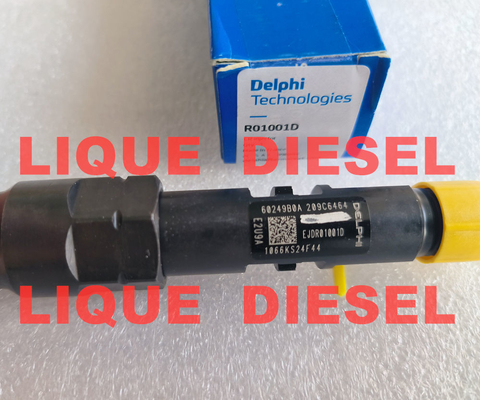 DELPHI Injetor de combustível R00401Z R01001D fornecedor