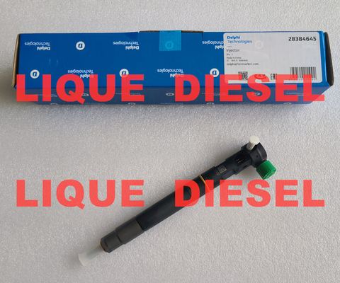 Injetor de combustível DELPHI 28384645 A6720170021 6720170021 para SSANGYONG D22 EURO 6 fornecedor