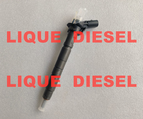 BOSCH Injetor Piezo 0445116017 0445116018 0 445 116 017 0 445 116 018 33800-2F000 33800 2F000 338002F000 fornecedor