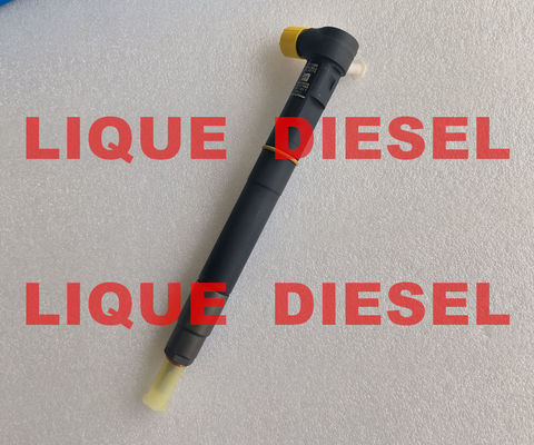 Injetor de combustível DELPHI 28387604 6730170021 A6730170021 para SSANGYONG Tivoli original OE A 673 017 00 21 fornecedor