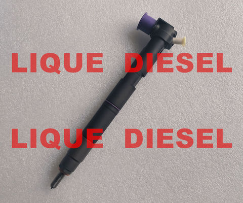 INJETOR DELPHI de trilho comum 28581266 33800-2A150 338002A150 33800 2A150 fornecedor