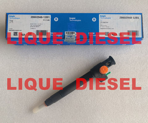 Injetor Common Rail DELPHI 28602948 9674984080 28388960 28319895 D57Q-9F-893-BB D57Q9F893BB fornecedor