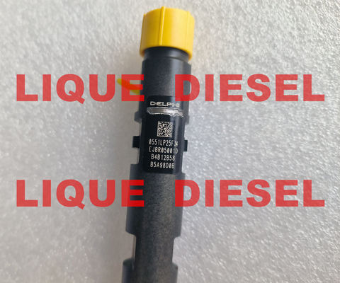 INJETOR DELPHI Common Rail EJBR05001D R05001D 320/06623 320-06623 32006623 fornecedor