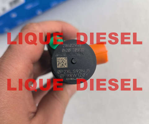 Injetor Common Rail DELPHI 28602948 9674984080 28388960 28319895 fornecedor