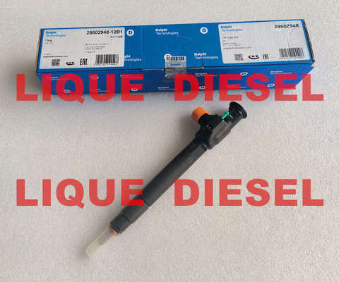 Injetor Common Rail DELPHI 28602948 9674984080 28388960 28319895 fornecedor