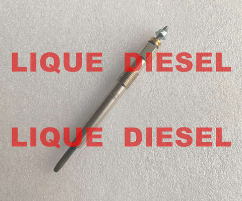 BOSCH Glow plug 0250202136 3770100-E06 0 250 202 136 3770100E06  for Great Wall 2.8TC fornecedor