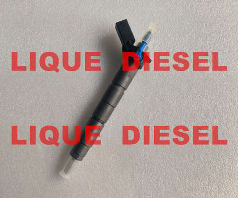 BOSCH fuel injector 0445117047 0445117048  0445117 047 0445117 048 445117047 445117048 fornecedor