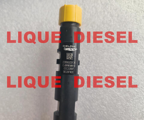 Injetor de ferro comum EJBR05001D R05001D 320/06623 320-06623 32006623 fornecedor